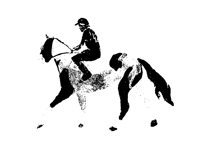 Drawing by Viktoriia Shcherbak of racehorse and jockey in livery.