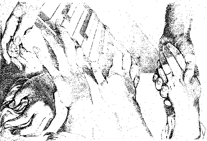 "Scuola perfetta per imparare a disegnare", engraving by Luca Ciamberlano or maybe Francesco Brizio after Agostino Carracci, 1599–1629.