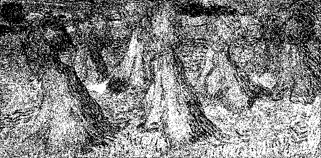 Vincent Van Gogh, "Sheaves of Wheat".