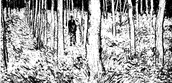 Vincent Van Gogh, "Undergrowth with Two Figures".