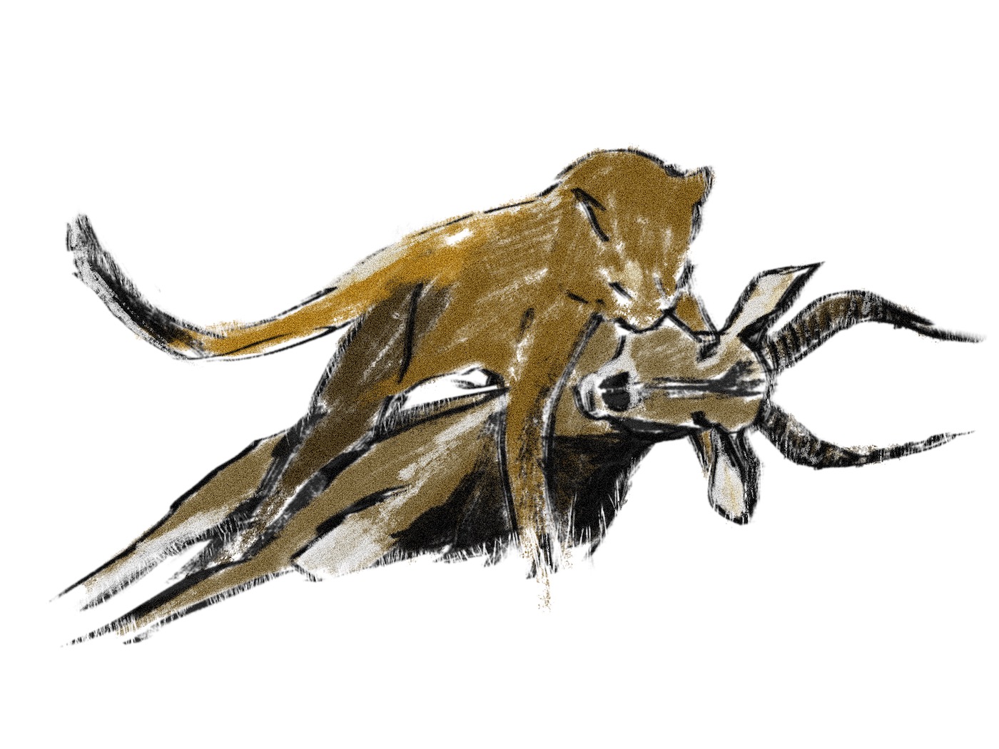 Drawing by Viktoriia Shcherbak of a predator attacking its prey.